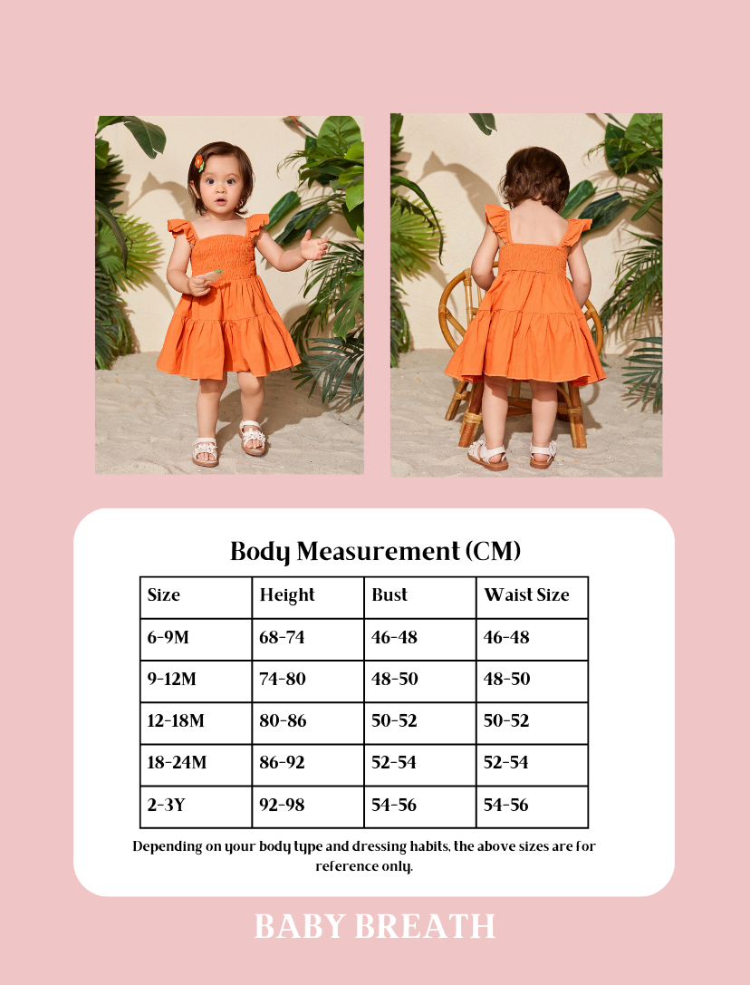 Baby Girls Ruffled Flutter Sleeve Dress | 6M-3Y