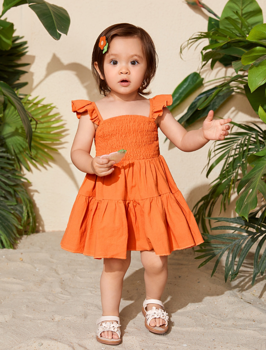 Baby Girls Ruffled Flutter Sleeve Dress | 6M-3Y