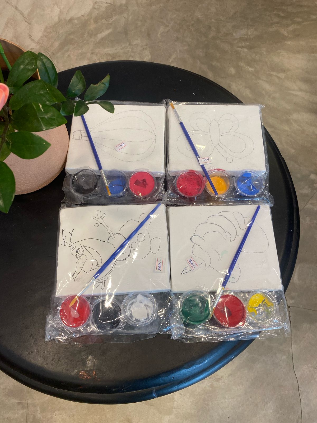 Canvas Paint Set