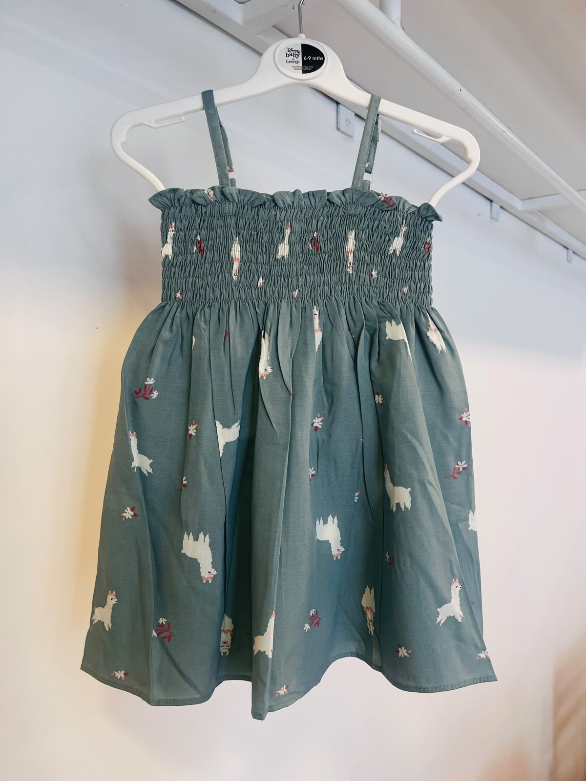 Shells Lite Green Smoke Dress