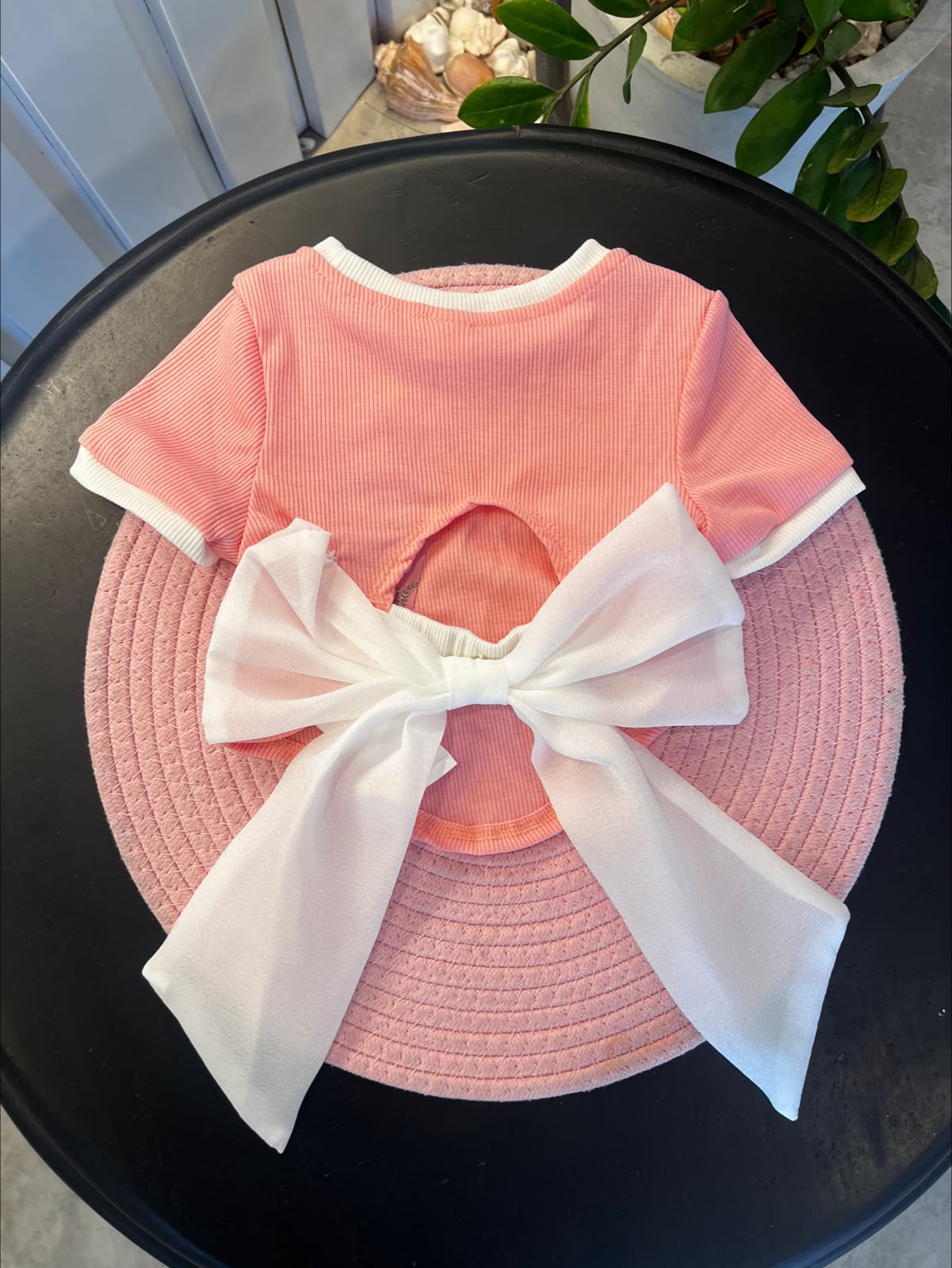 Baby Girls Slim Fit Short-Sleeve Open Back & Organized Bow Top | 3M - 3Y