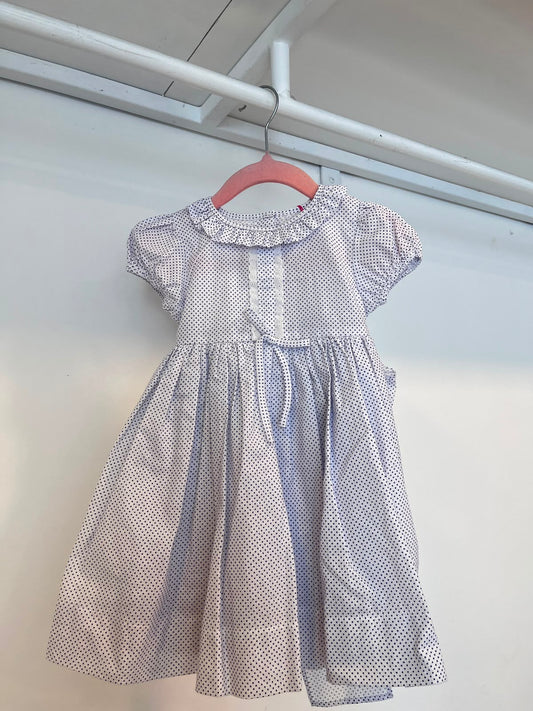 Shells Blue Dotted Dress | 1Y