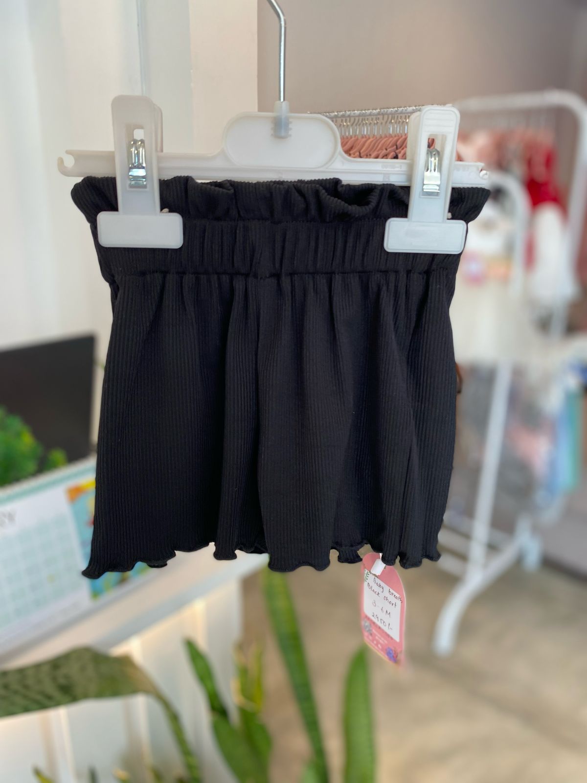 Summer Shorts